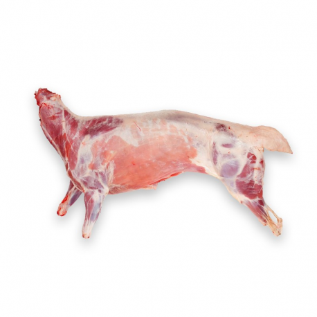 Lamb-Carcass