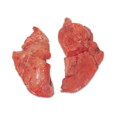 Beef Lungs