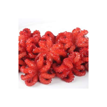Japanese Seasoned Octopus 1kg